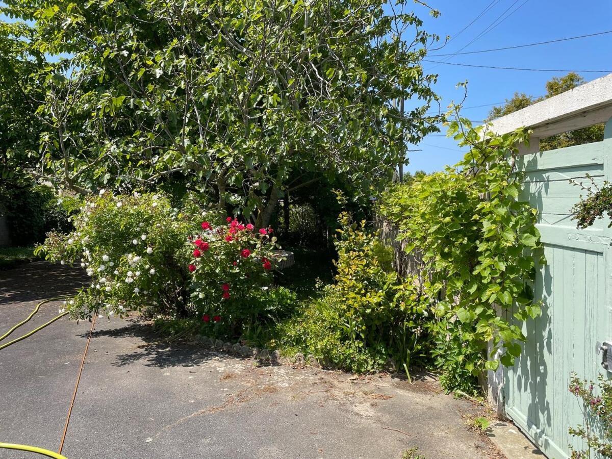 La Maison De Marie A 5 Minutes A Pied De La Plage Avec Parking Privee Et Gratuit Lion sur Mer Bagian luar foto