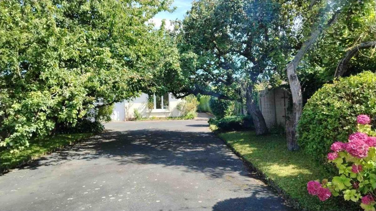 La Maison De Marie A 5 Minutes A Pied De La Plage Avec Parking Privee Et Gratuit Lion sur Mer Bagian luar foto